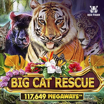 Big Cat Rescue Megaways - LUCKYGAMING138